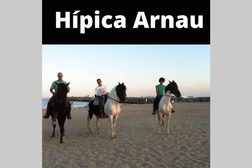 Apartamento Para 4 Personas A 200 M De La Playa. Apartment Empuriabrava Ngoại thất bức ảnh
